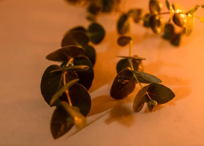 Themis Goddess Cave Appartement *