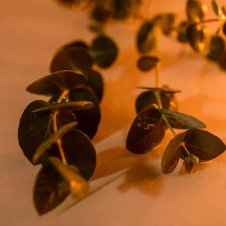 Themis Goddess Cave Apartmán *